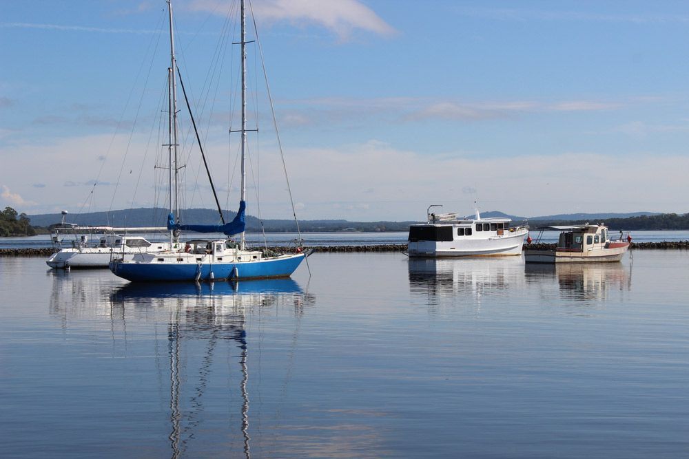 A Group of Boats Are Docked in a Body of Water — George's Tree Services in Iluka, NSW