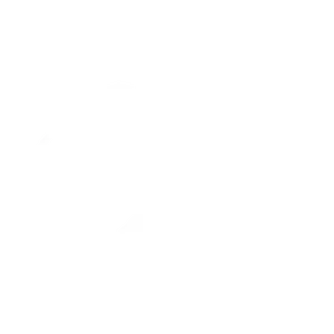 Blank white image
