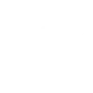 Blank white image