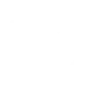 Blank white image