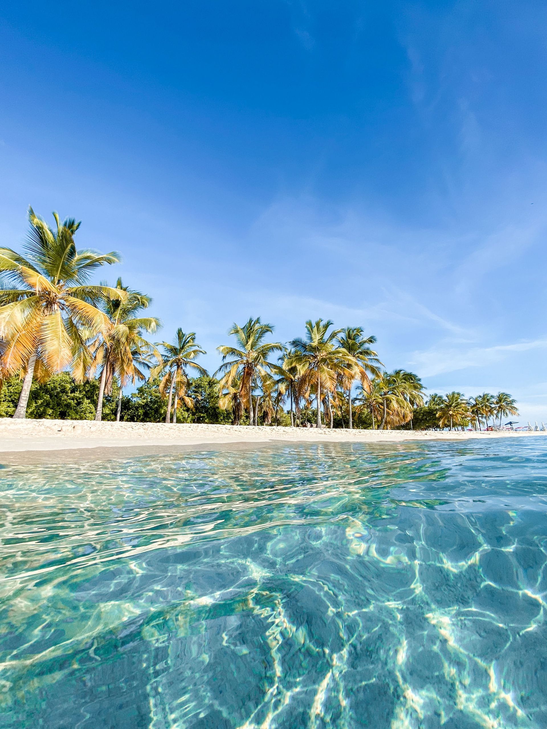 Tropical beach with palm trees, white sand, and clear turquoise water under a bright blue sky