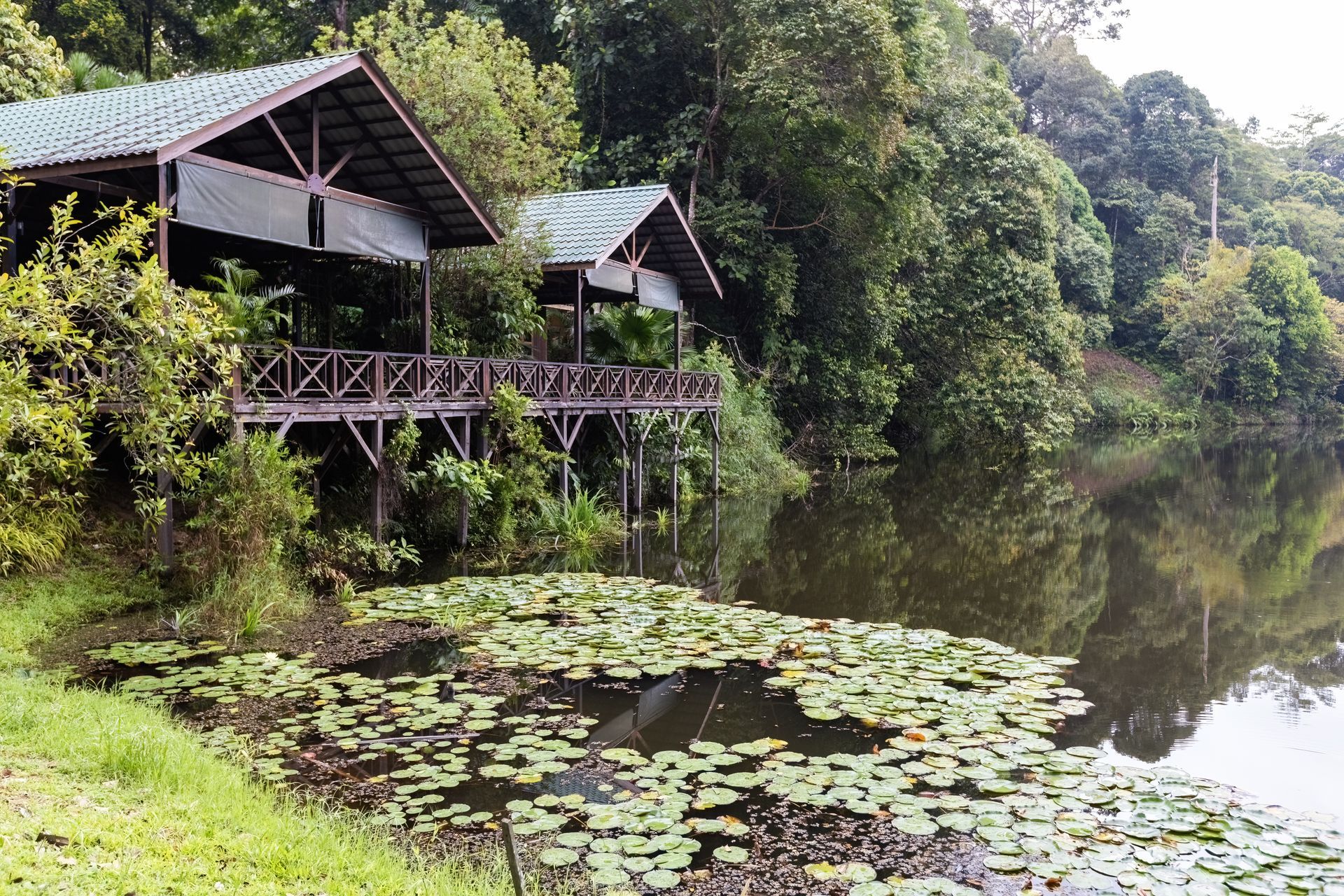 Borneo Rainforest Lodge