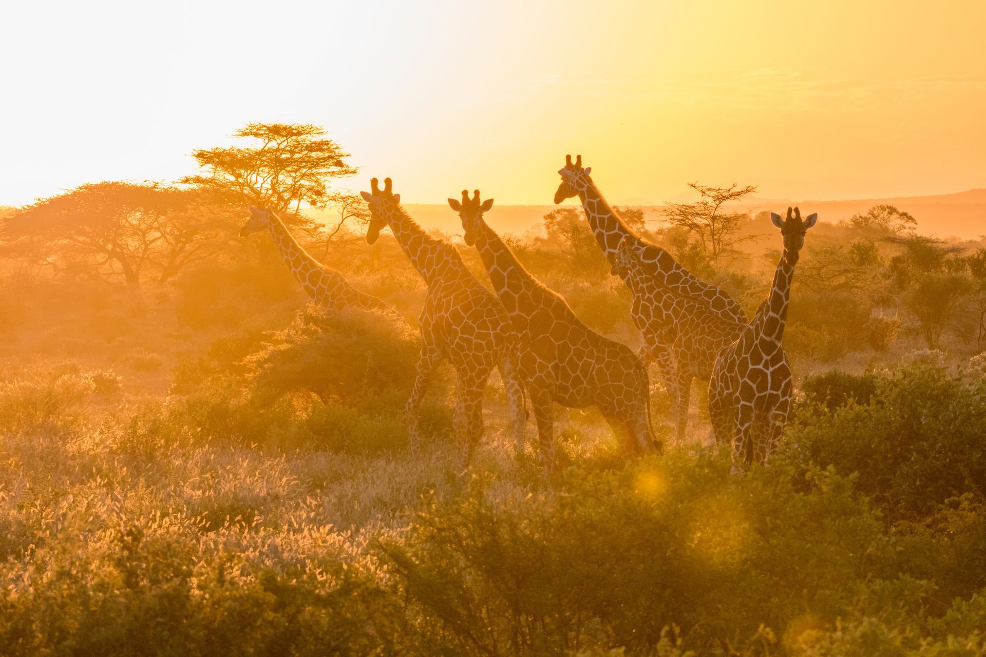 KENYA