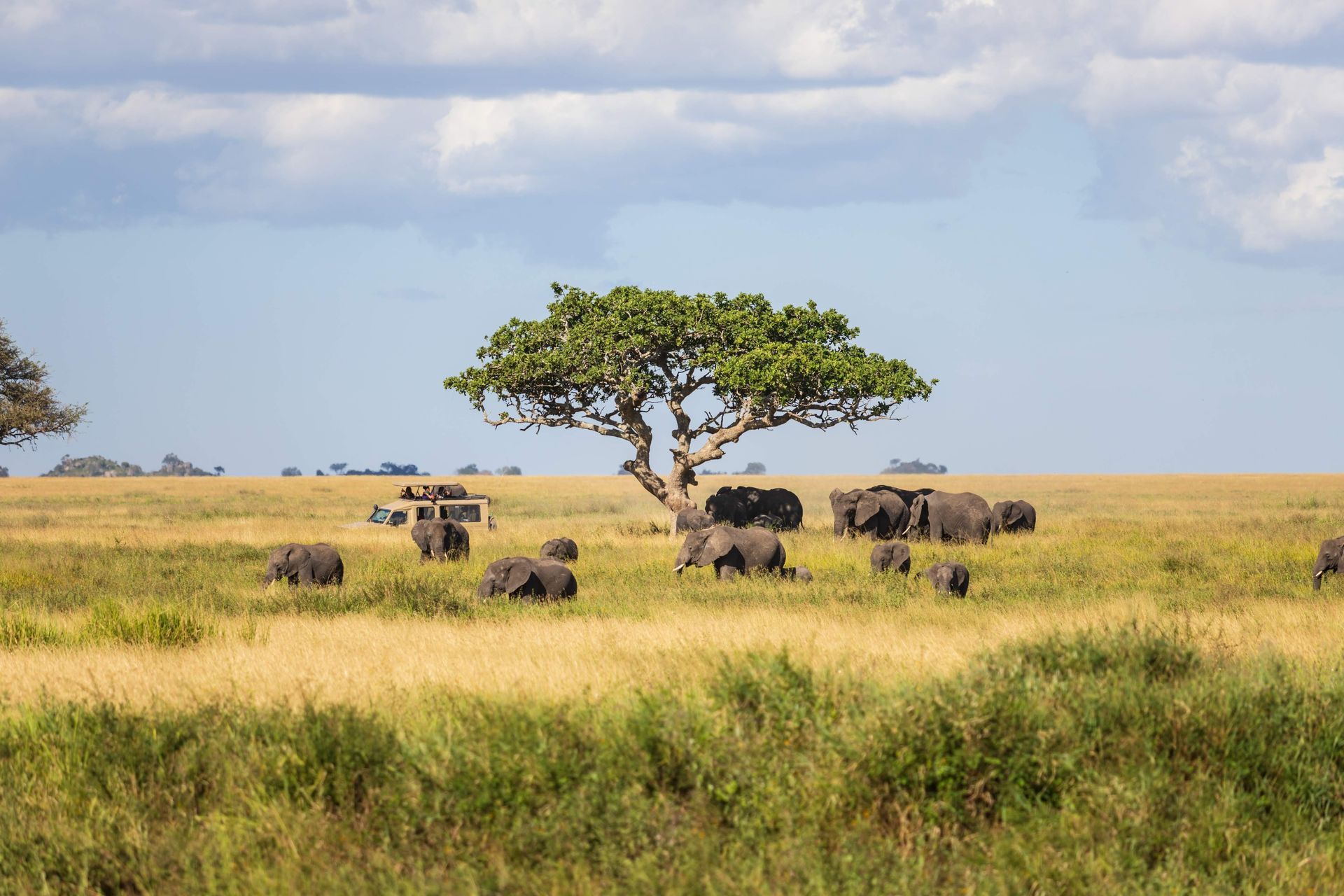 Singita Serengeti House