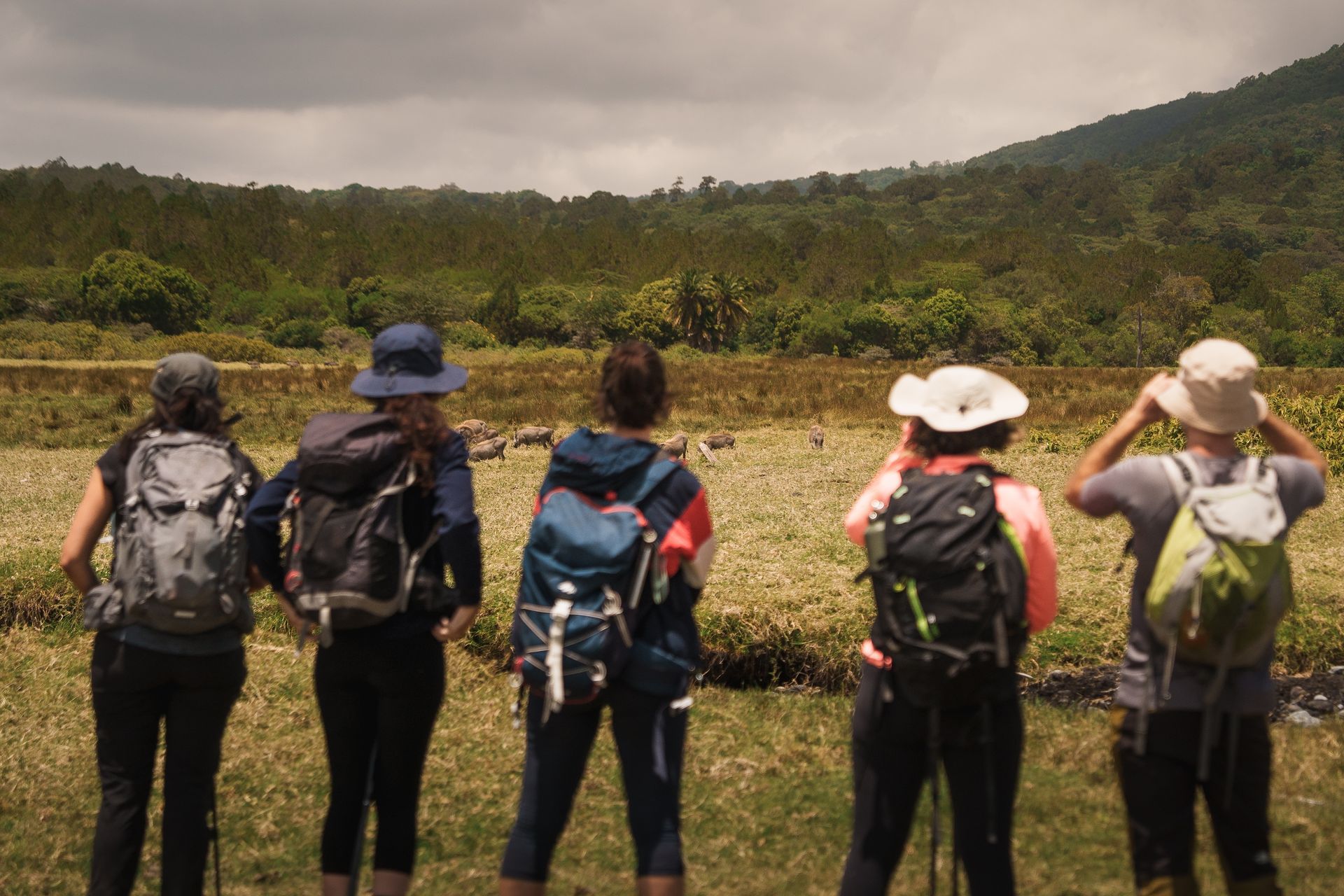 WALKING SAFARIS