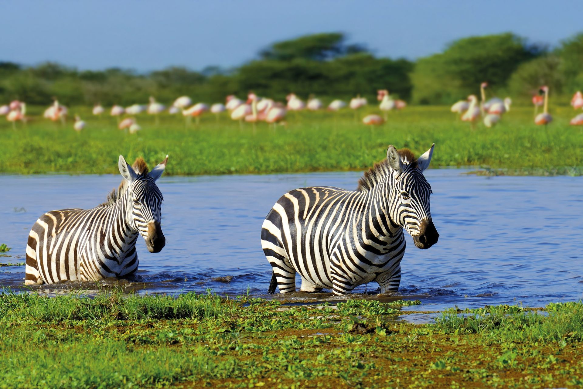 TANZANIA