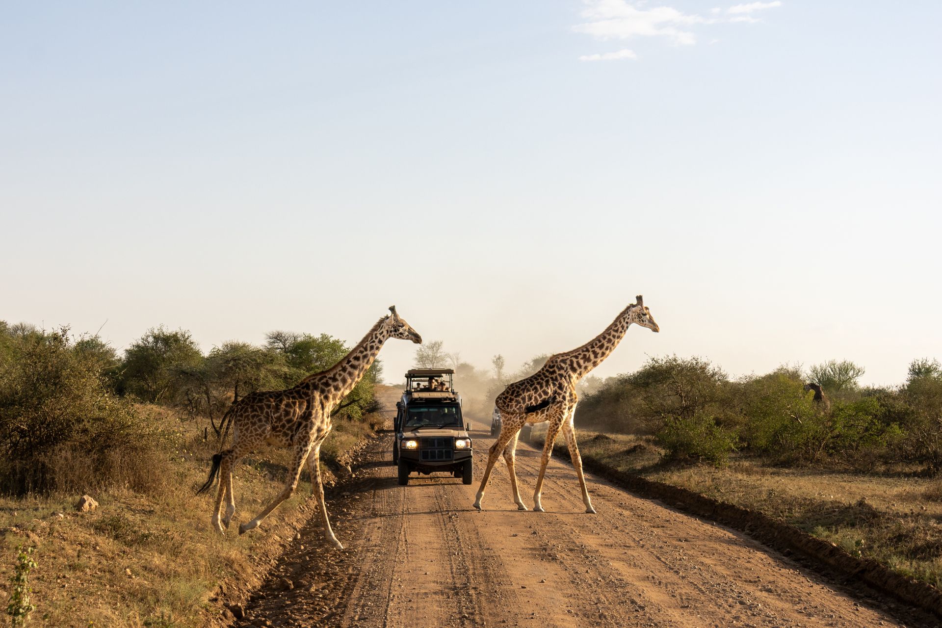 GAME DRIVES