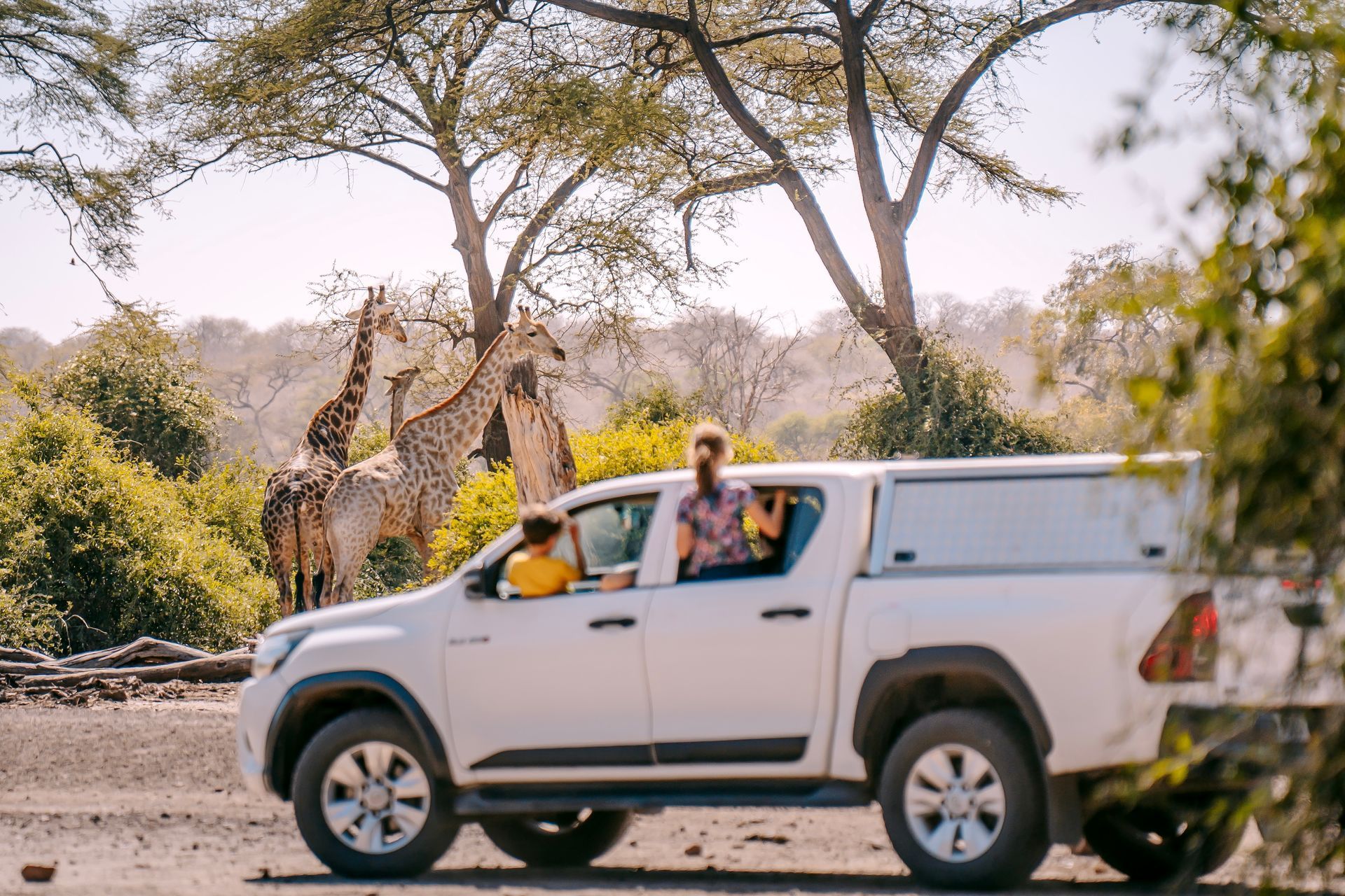 FAMILY SAFARIS