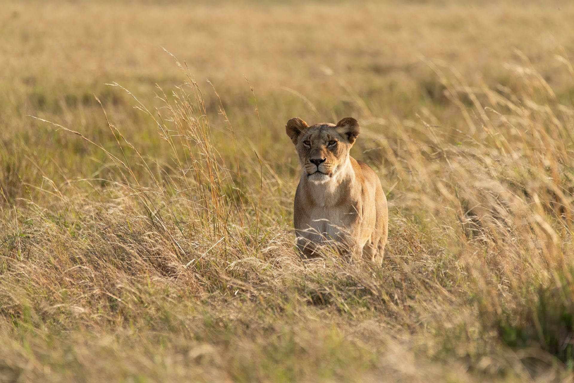 Kenya