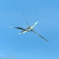 A close up of a cracked windshield with a blue sky in the background.