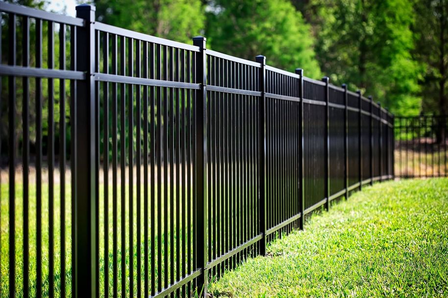 Black metal fence along a green grassy yard with trees in the background
