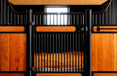 Black metal horse stall gate with orange wood panels and a small window above