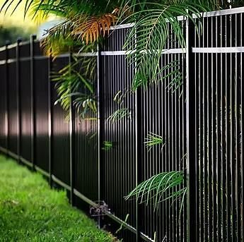 Black metal fence beside green grass with palm fronds hanging over it