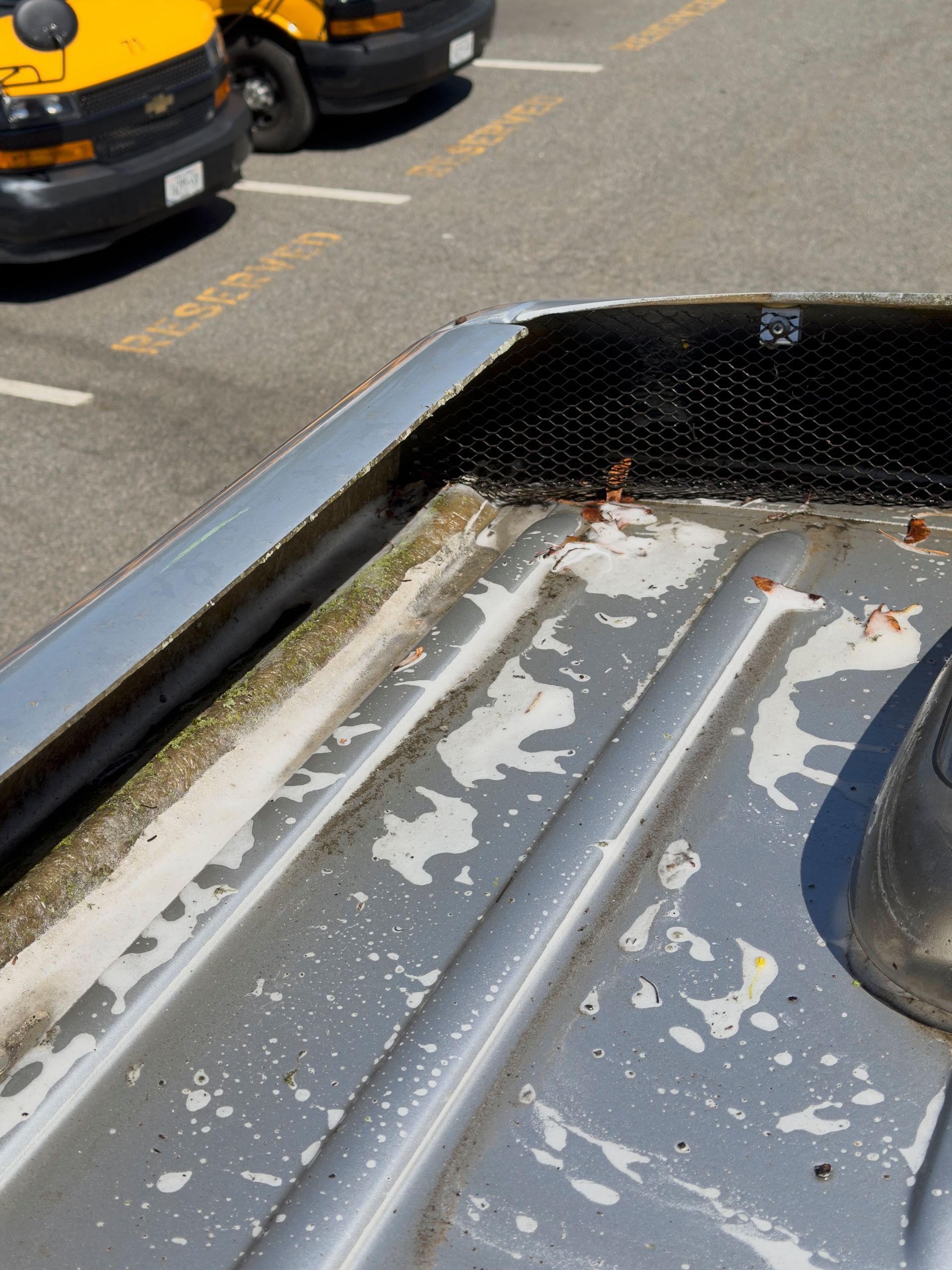 Close-up of a rusty, peeling truck bed with parked yellow vans blurred in the background
