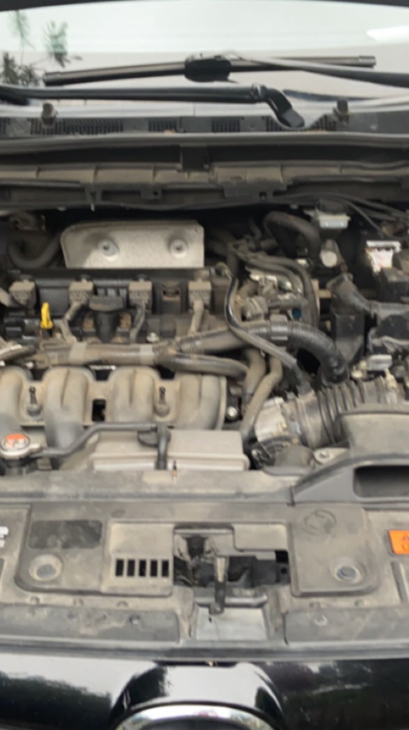 Open car hood showing the engine compartment and hoses, with the windshield wipers visible above.