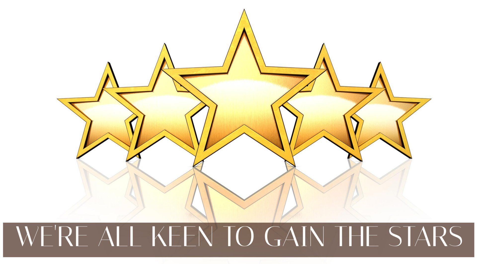 Five gold stars with reflection above the text, “WE RAISED TO GAIN THE STARS.”