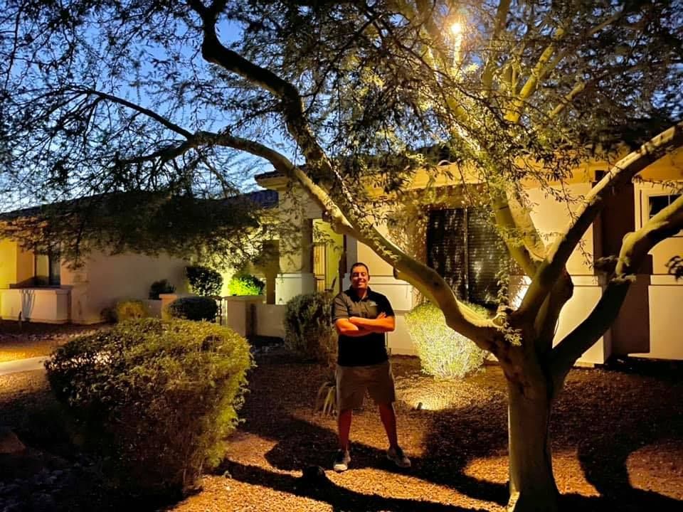 Person standing in a lit courtyard at night beside a large tree and trimmed bushes