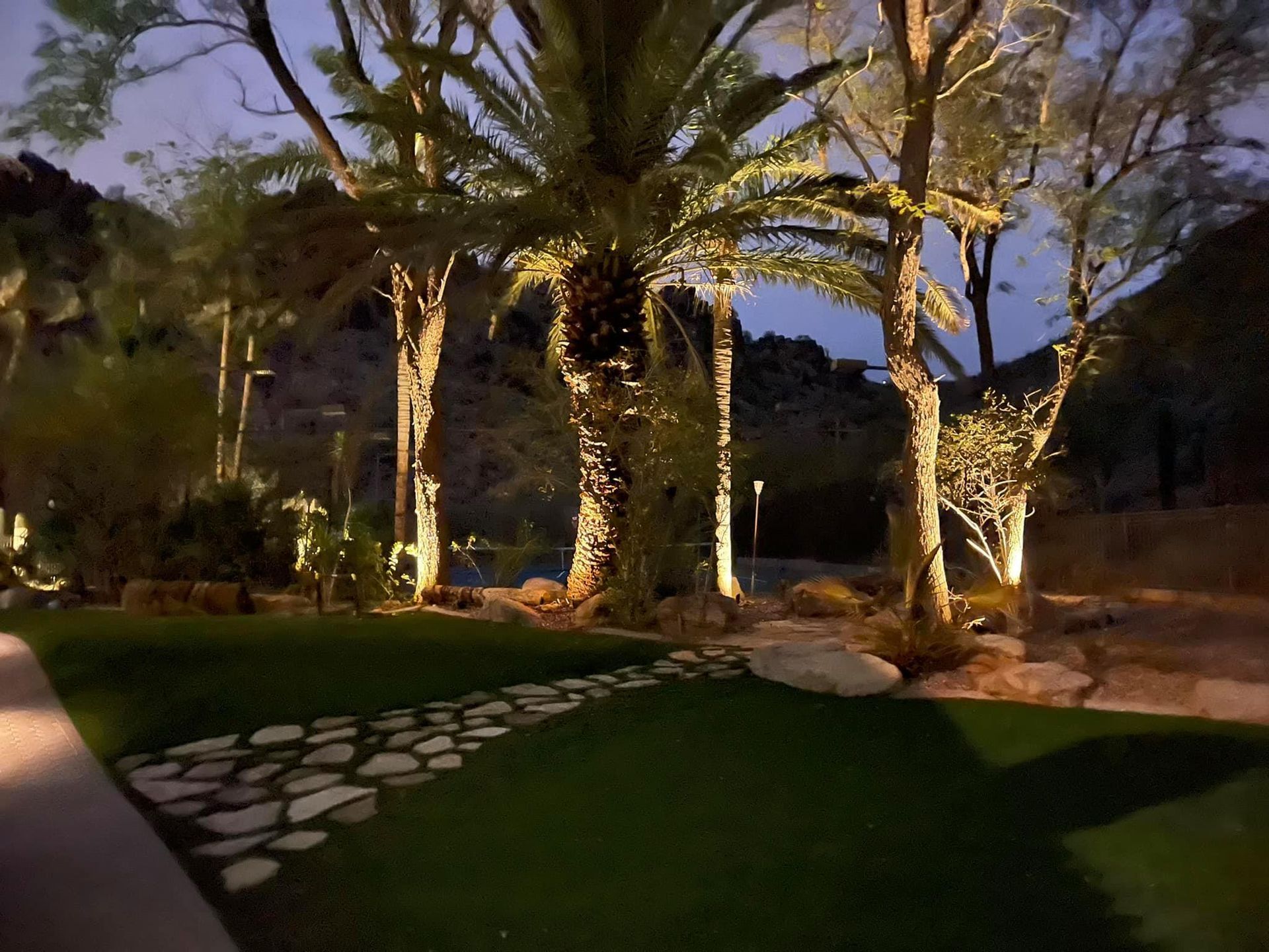 Illuminated palm trees along a stone path in a landscaped garden at dusk