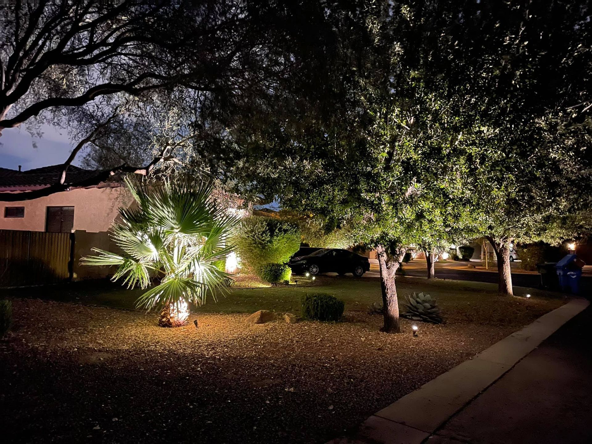 Nighttime yard with lit palm trees, a large tree, and a house along a sidewalk