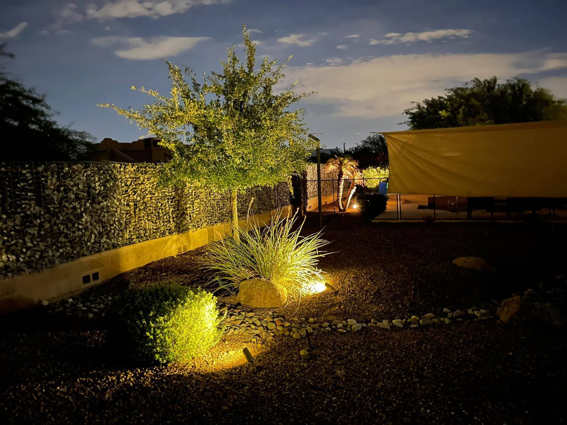 Nighttime garden with lit shrubs, a small tree, and a yellow tarp beside a hedge.