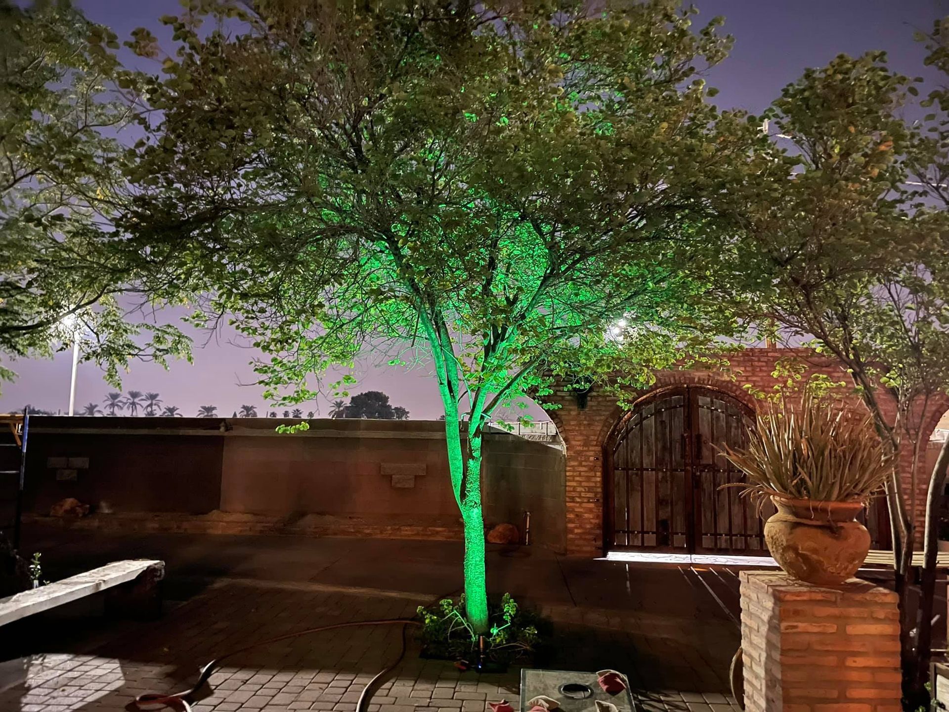 Tree lit green in a courtyard at night beside a wall, gate, and potted plant.