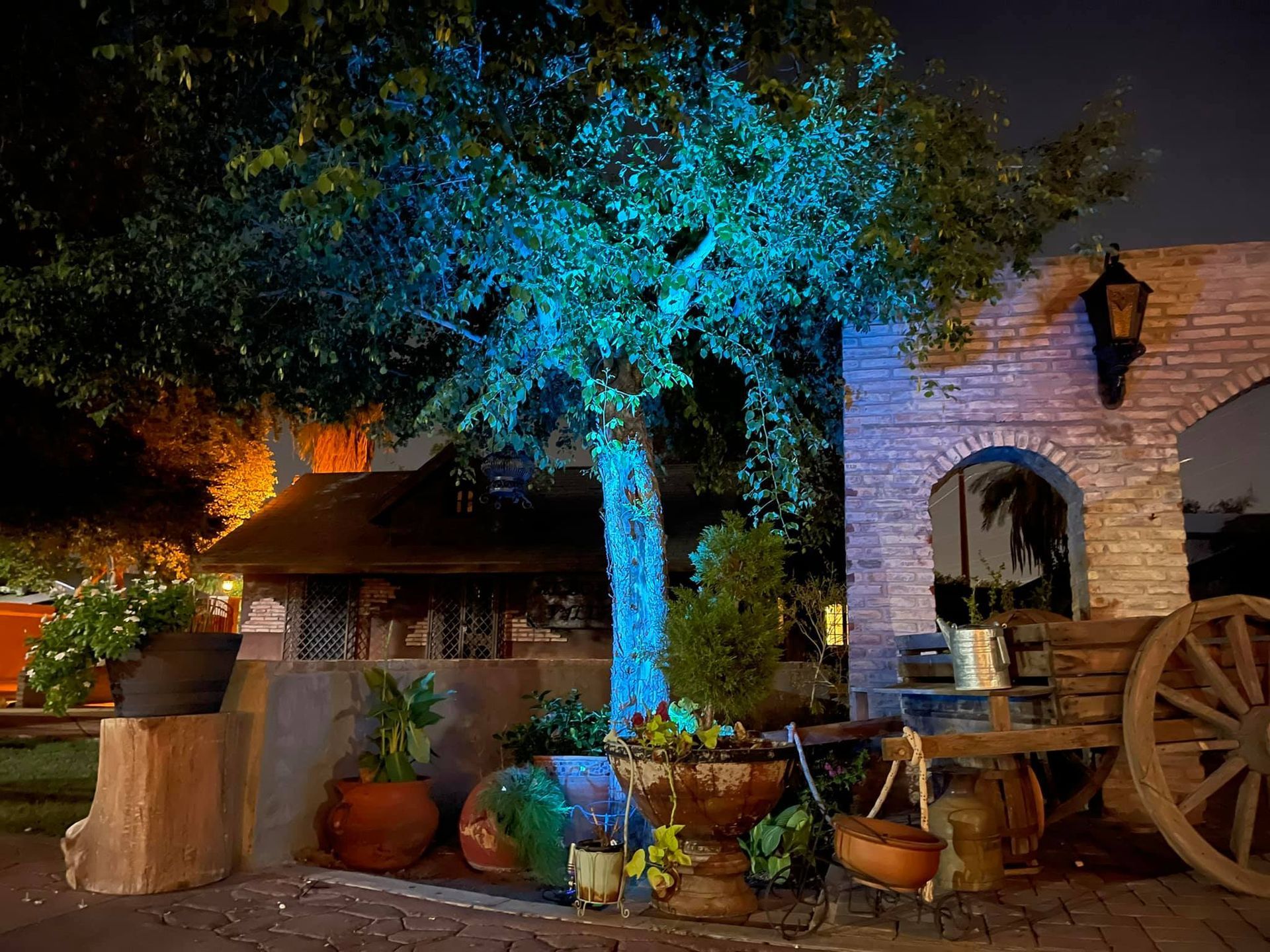Blue-lit tree and stone building in a nighttime courtyard with potted plants and a wooden wagon wheel