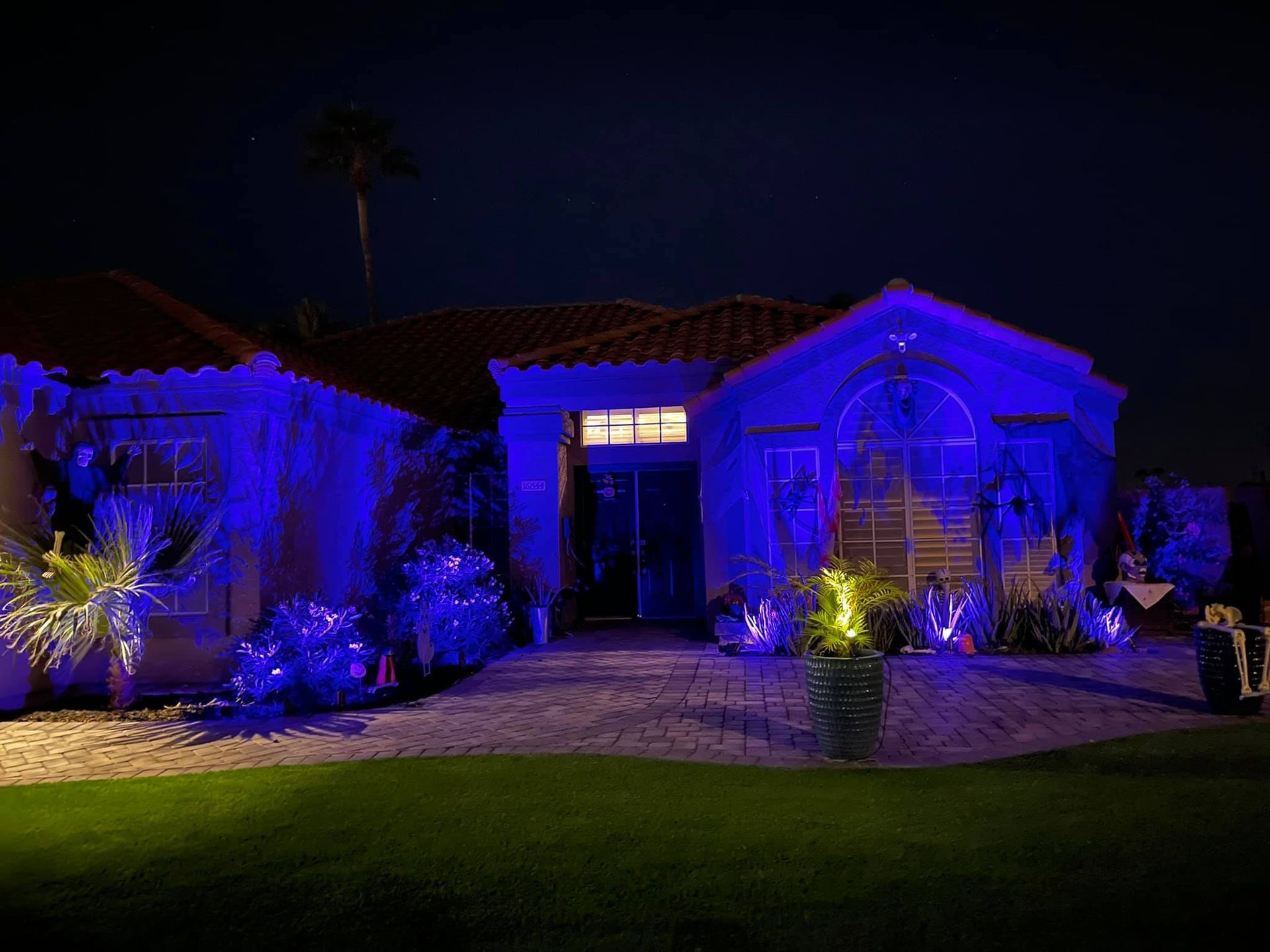 House lit in blue at night with a landscaped front yard and palm trees