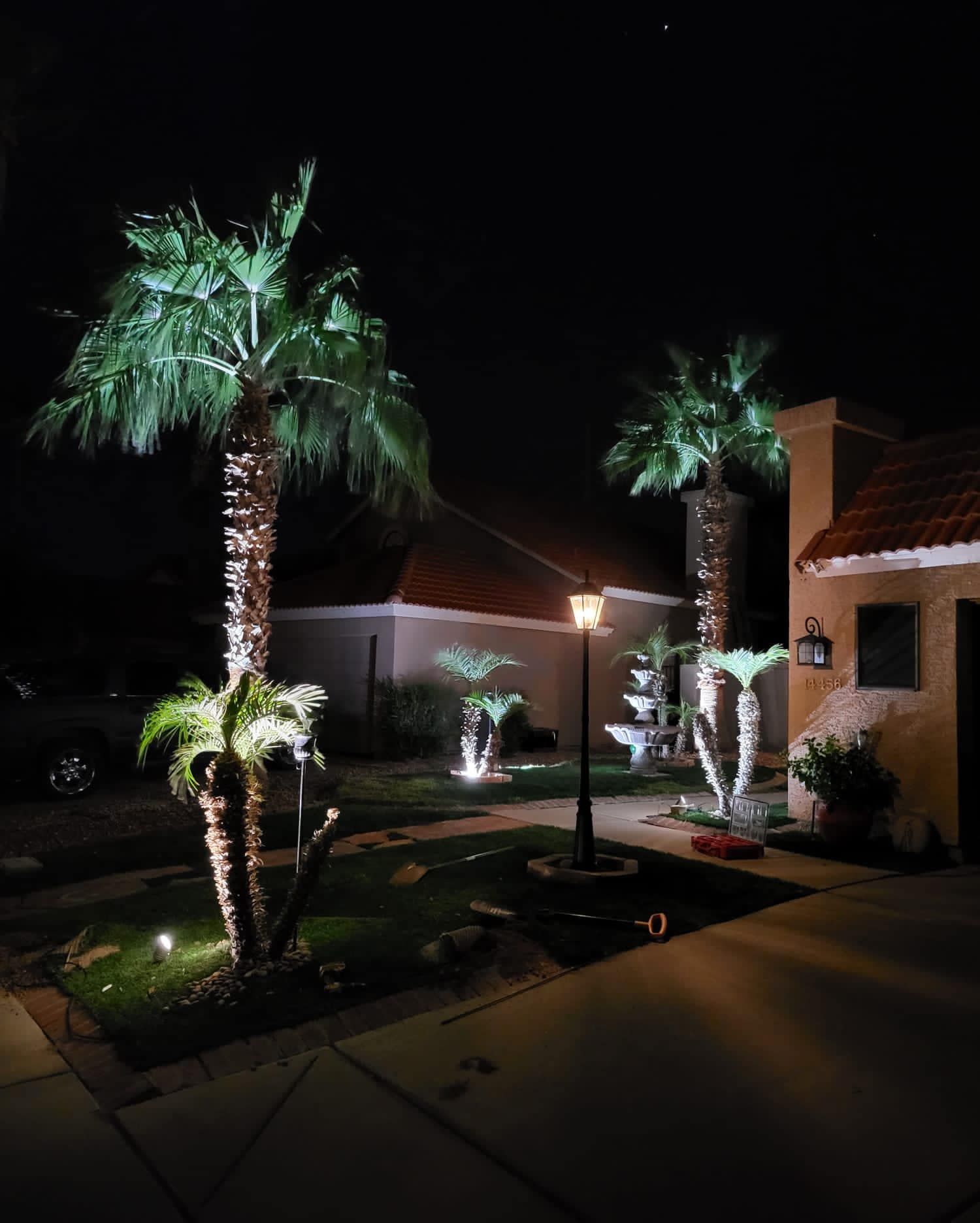 Nighttime front yard with illuminated palm trees, lawn lights, and a house entrance.