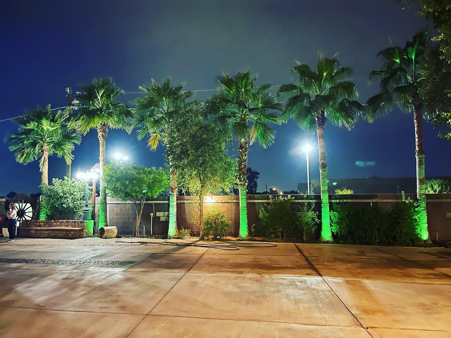 Nighttime courtyard with palm trees, green accent lights, and bright streetlamps beside a paved walkway