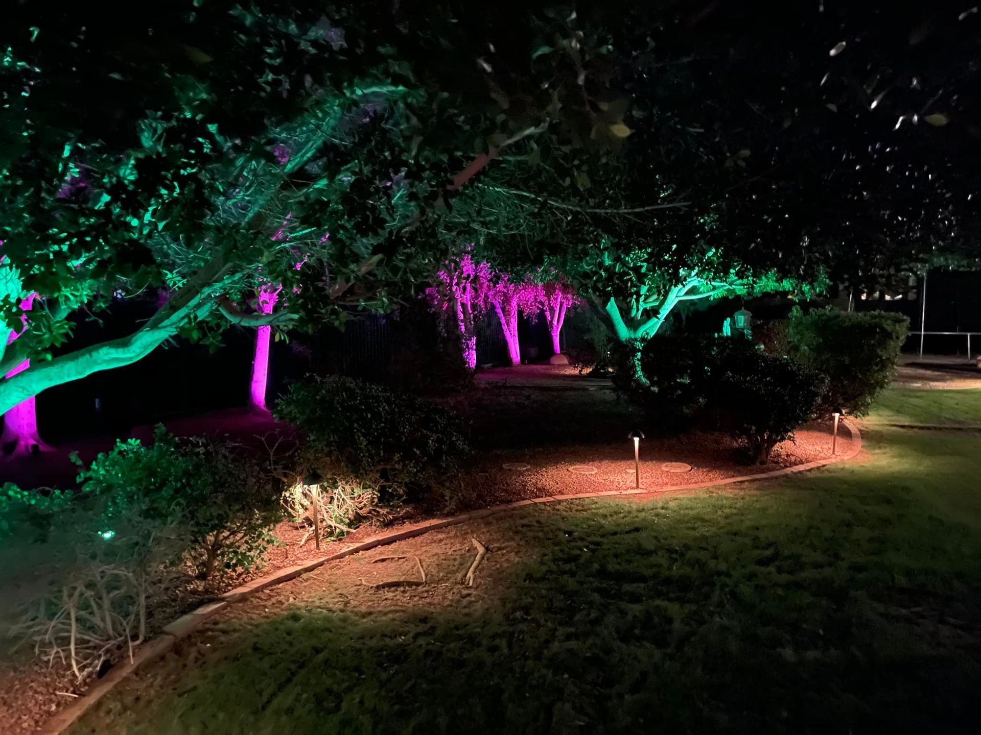 Night garden path lit by green, pink, and purple spotlights among trees and shrubs