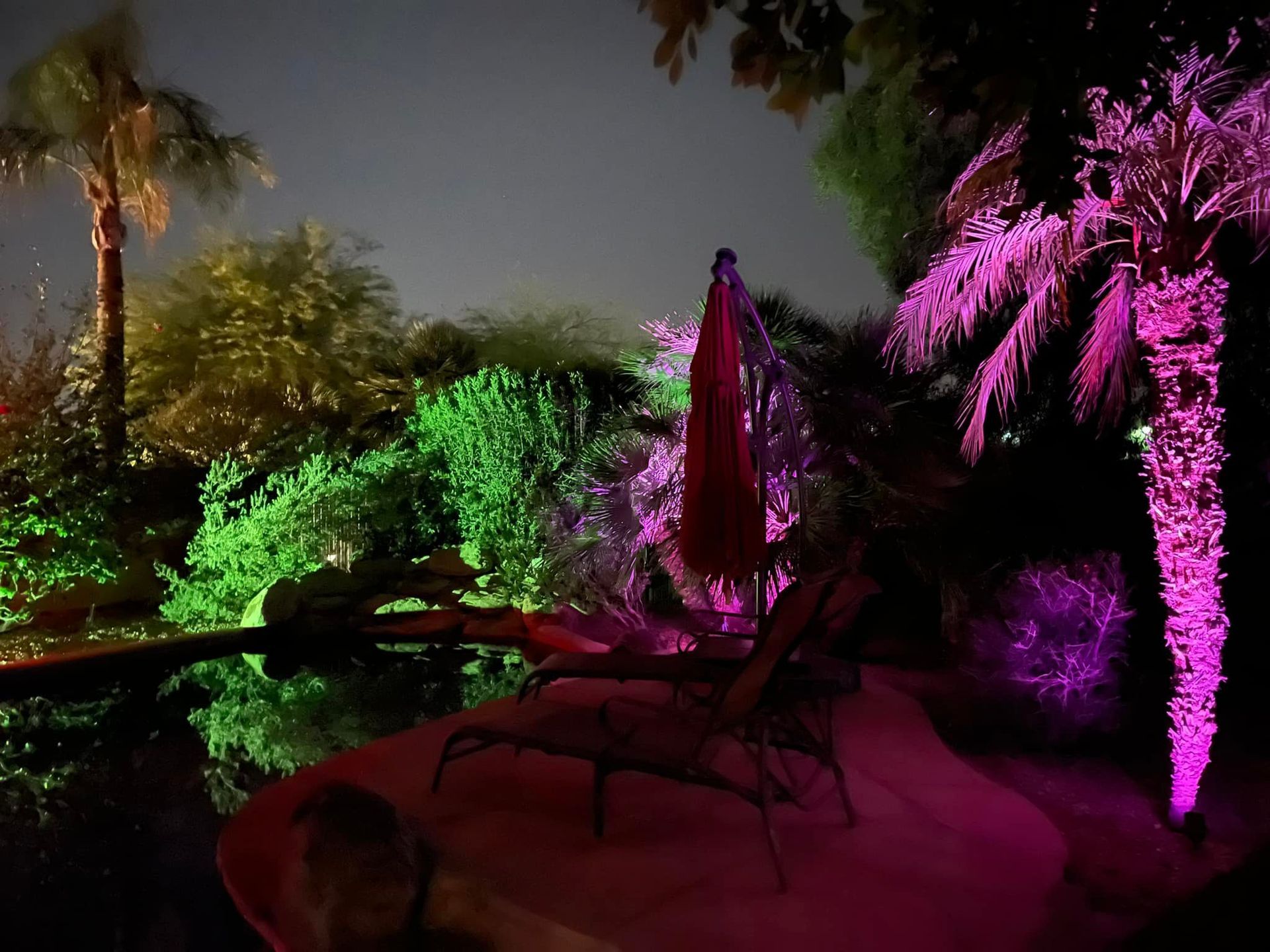 Nighttime garden with colorful pink, green, and purple landscape lighting around palm trees and lounge chairs