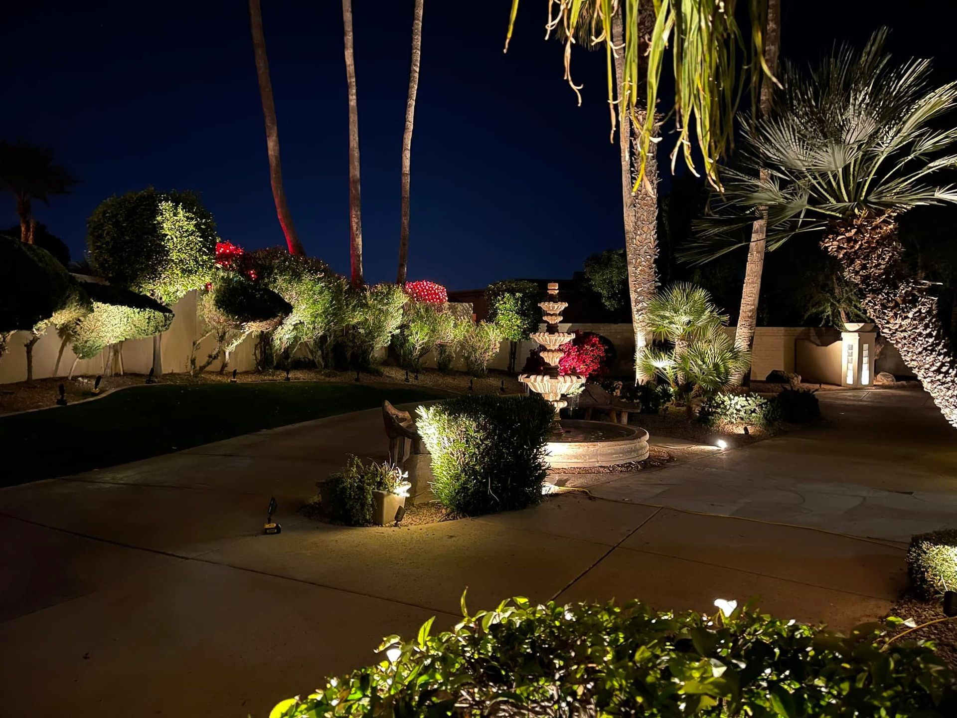Nighttime desert garden with palm trees, lit pathways, and shrubs under a dark sky