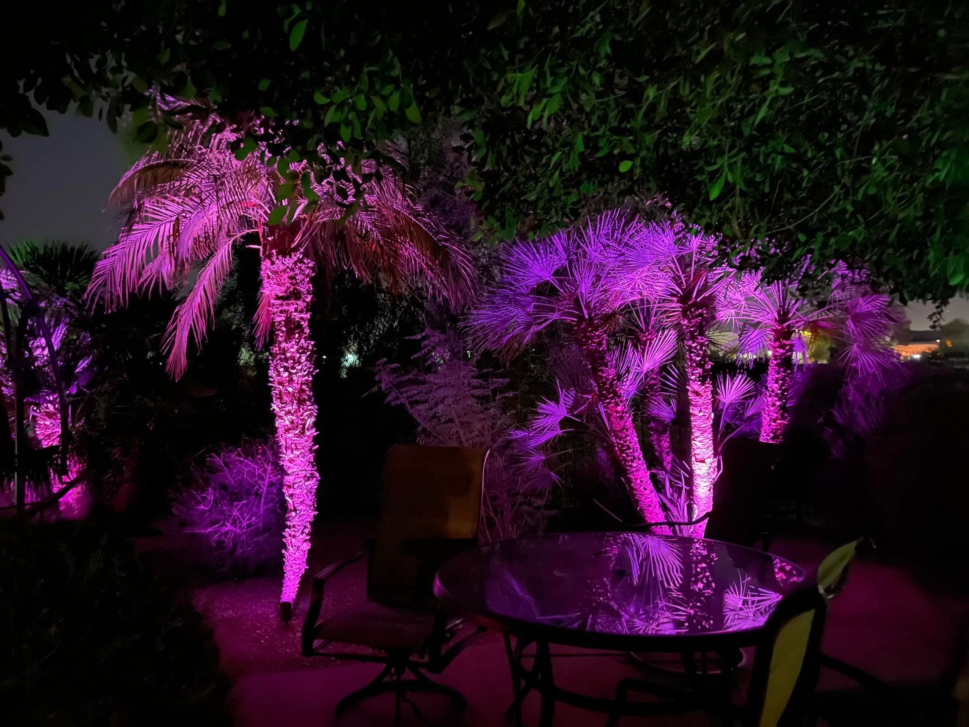 Palm trees and patio tables lit with bright purple lights at night
