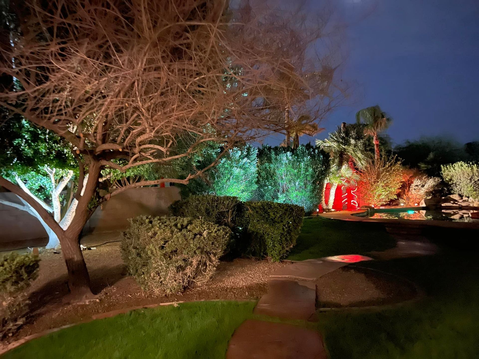 Illuminated garden path with trees, shrubs, and colorful red, green, and white landscape lighting at night