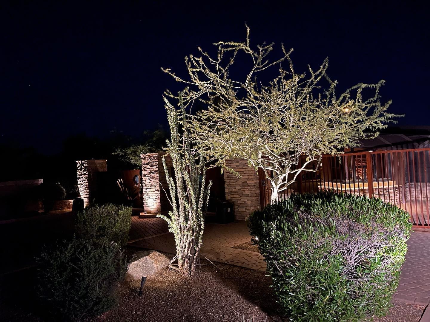 Lit garden with illuminated trees and shrubs beside a house at night