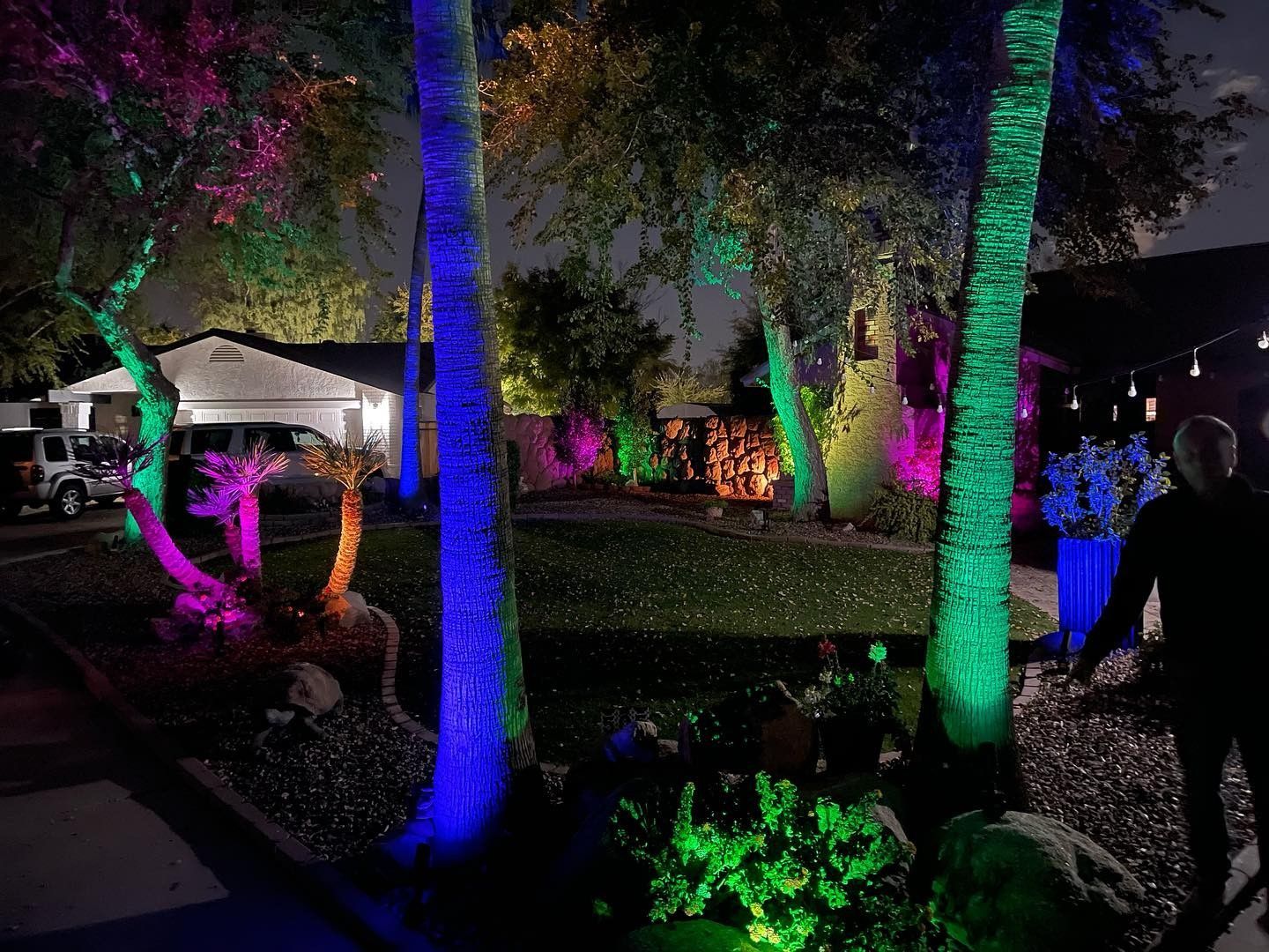 Colorful LED-lit trees in a dark garden or park at night, with people walking nearby.