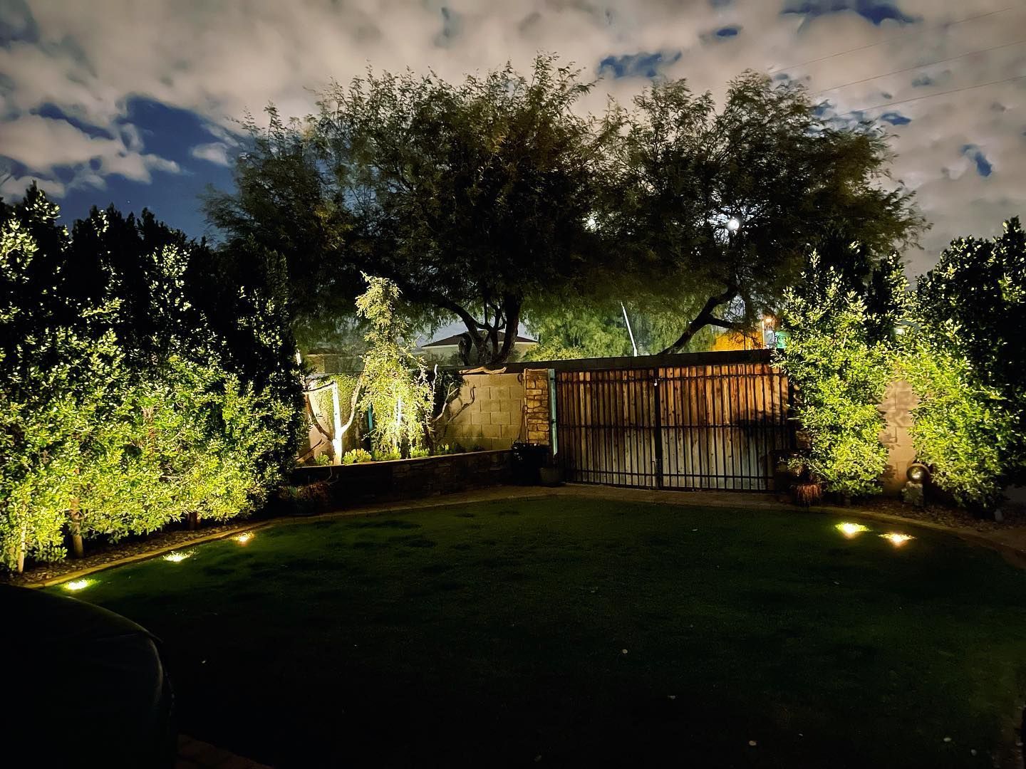 Night-lit garden with trees, shrubs, and a wooden fence under a cloudy sky