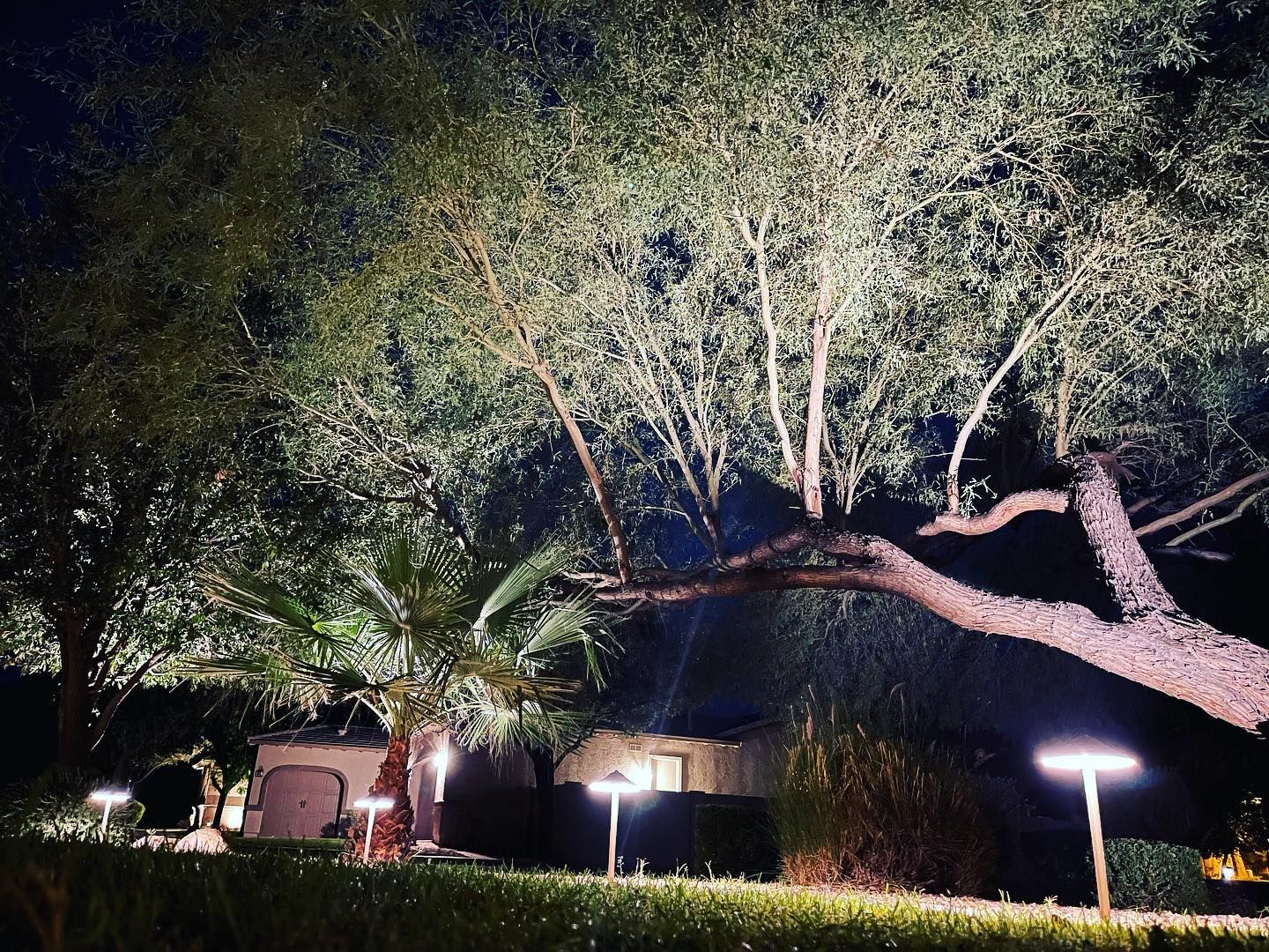 Night garden with illuminated trees, patio umbrellas, and glowing path lights under a dark sky