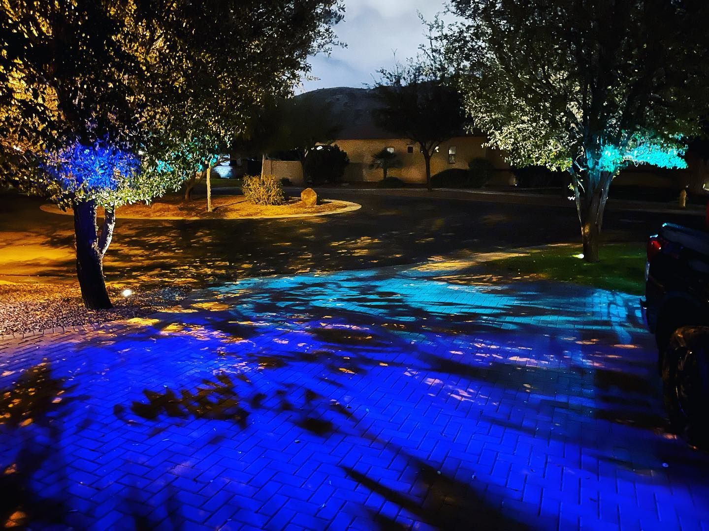 Colorful blue and green holiday lights illuminating trees and pavement at night in a residential driveway