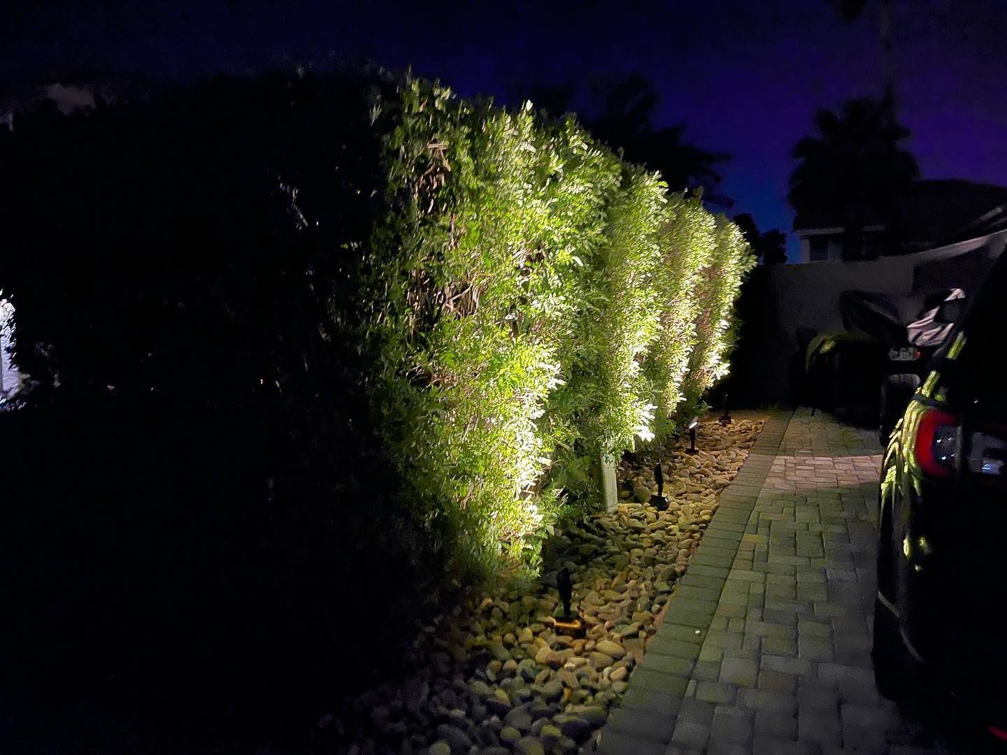 Lit bushes along a driveway at night, with a parked car beside a paved path.