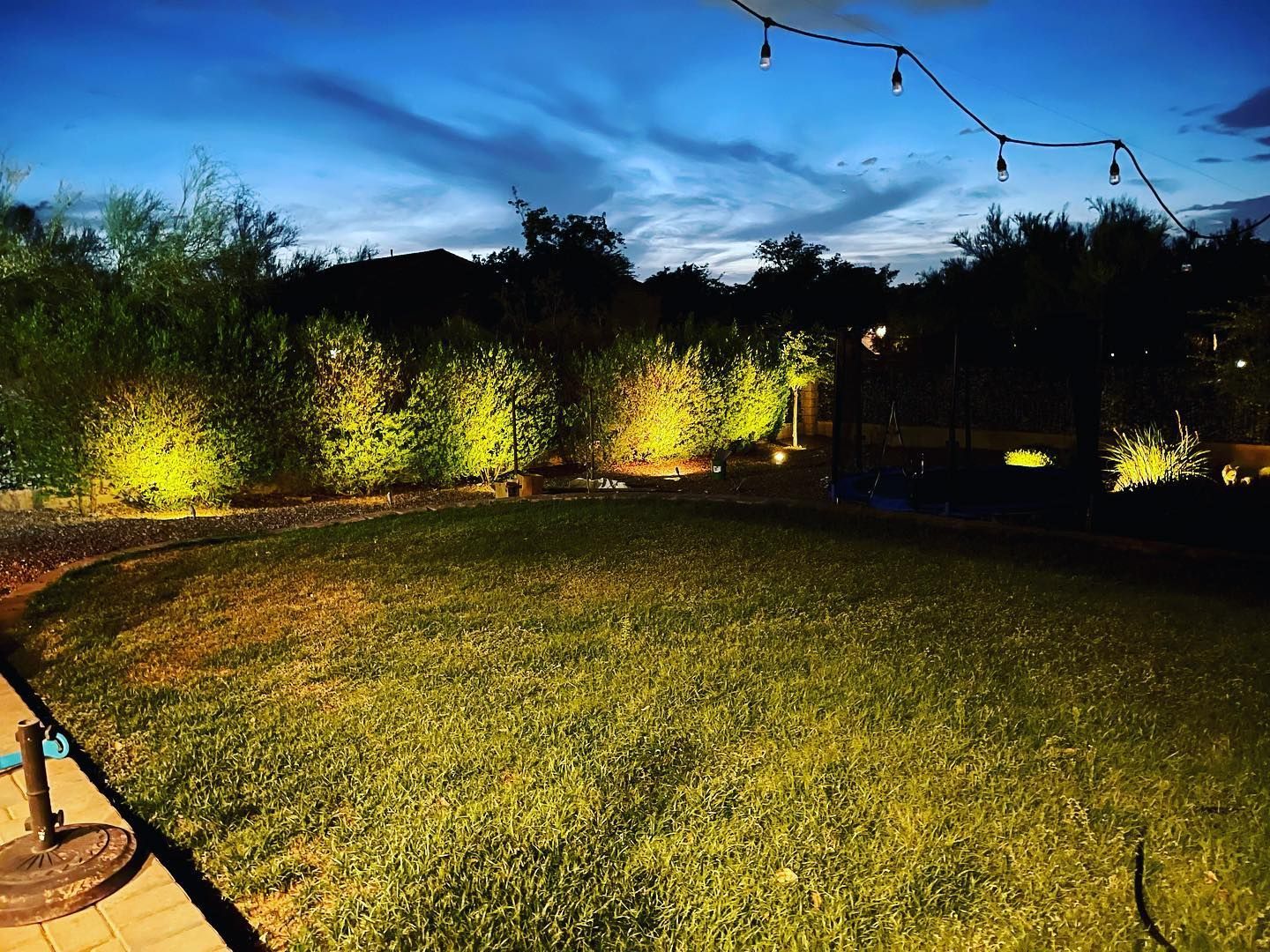 Nighttime backyard lawn with lit shrubs, string lights overhead, and a patio edge in the foreground