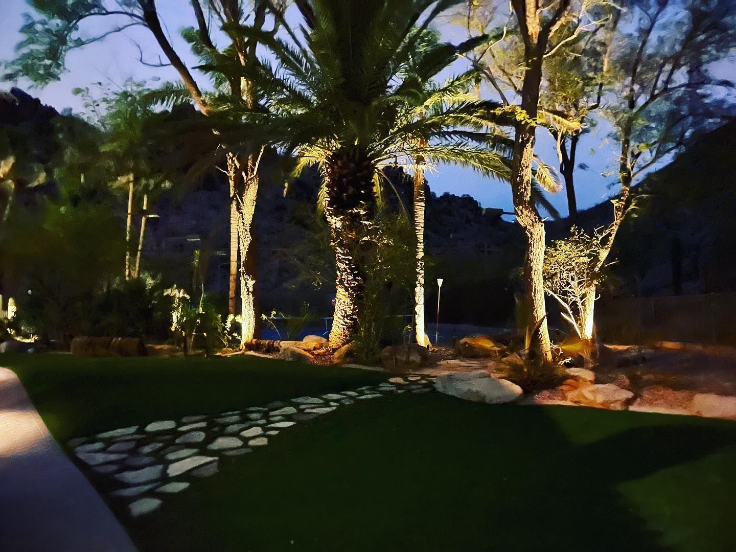 Lit palm trees and garden path at dusk in a landscaped backyard