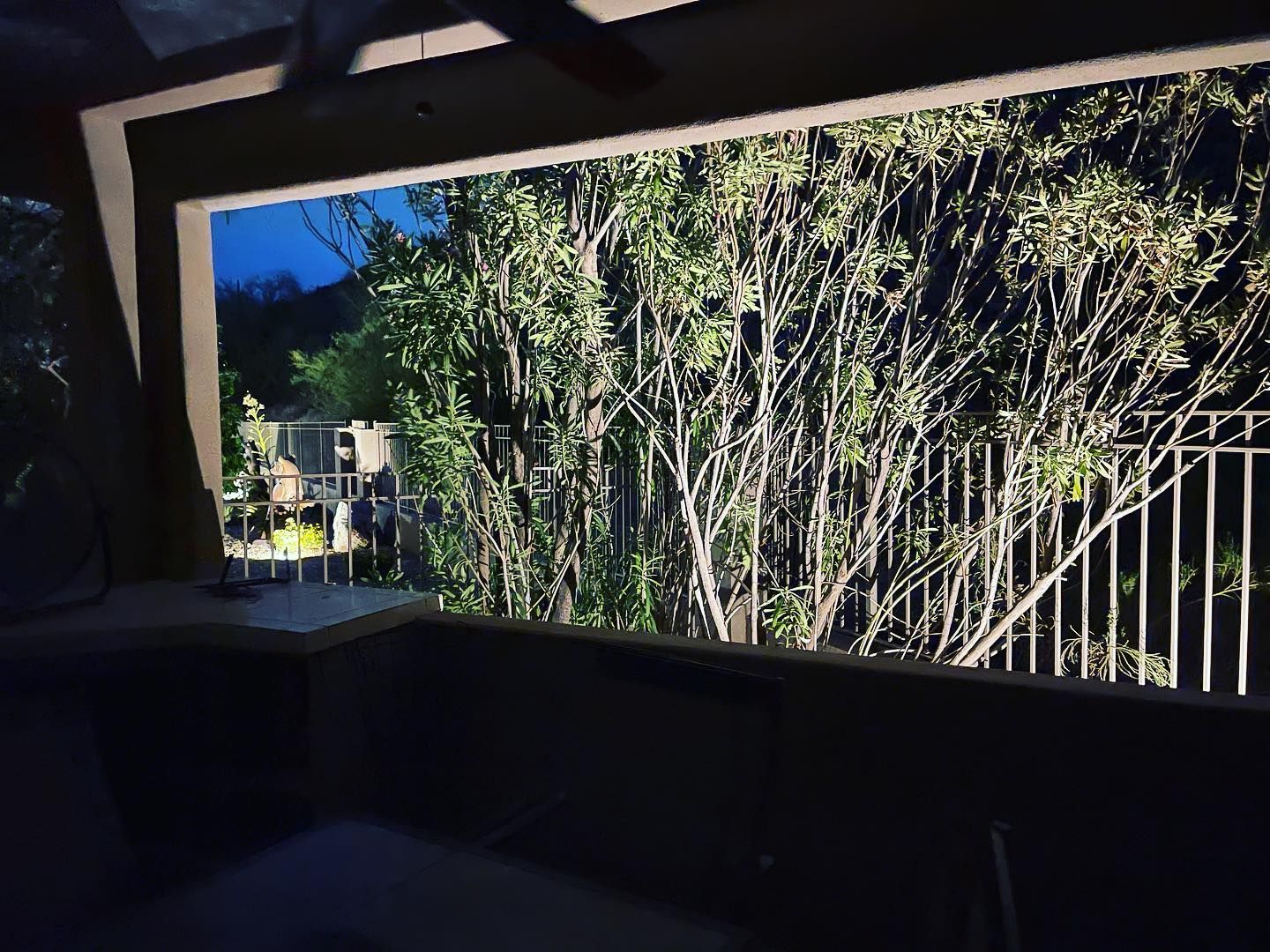 Patio view of a leafy garden and fence under blue sky, seen from a shaded indoor/outdoor area