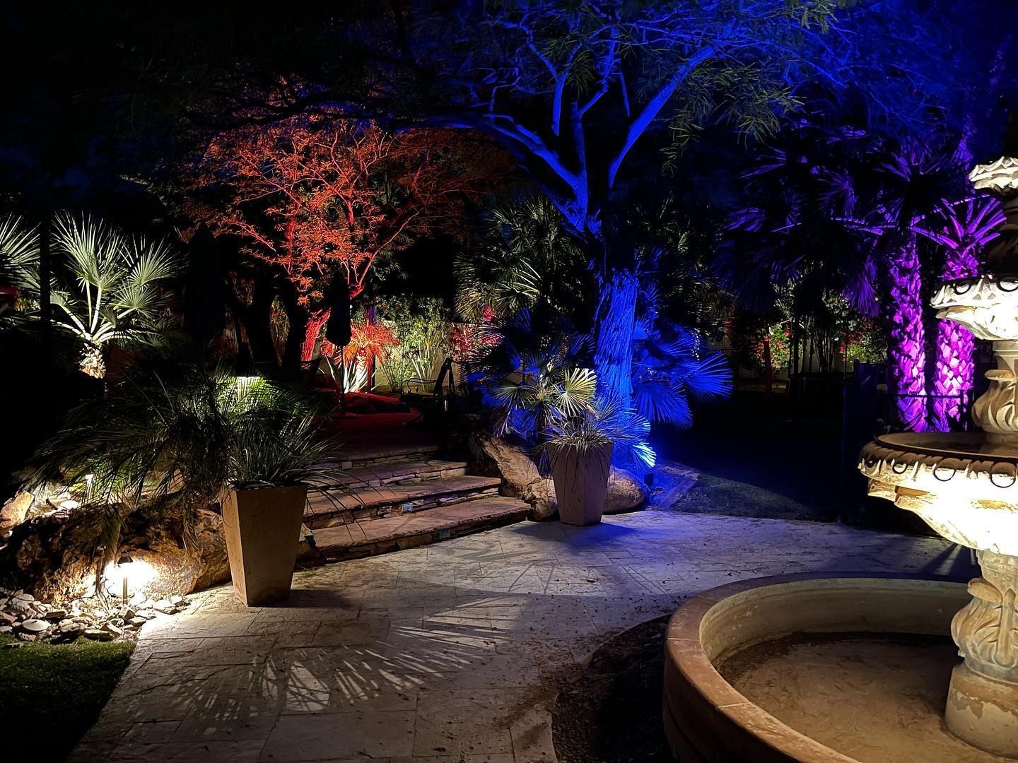Night garden lit with blue, purple, and white lights, stone path, and a fountain in the foreground