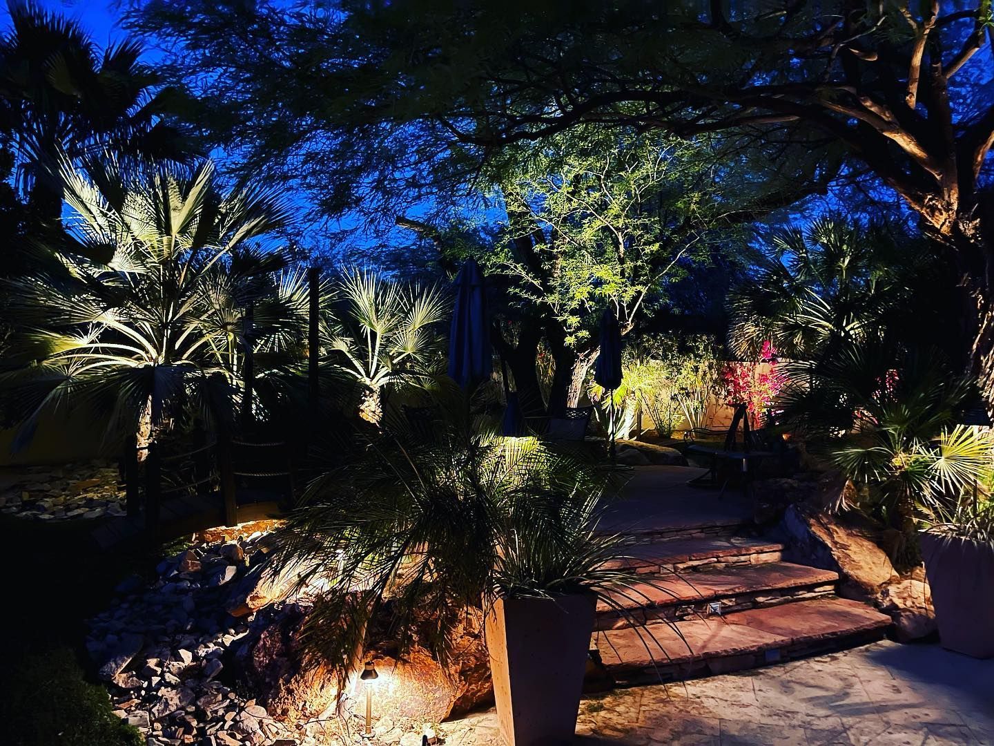 Nighttime garden path lit by warm lights, with trees, palms, and shrubs under a deep blue sky
