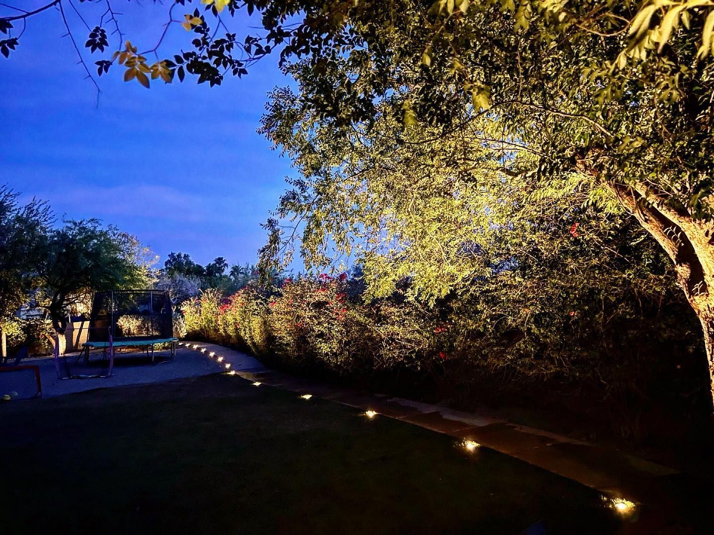 Lit walkway in a garden at dusk, with trees and bushes softly lit by ground lights.