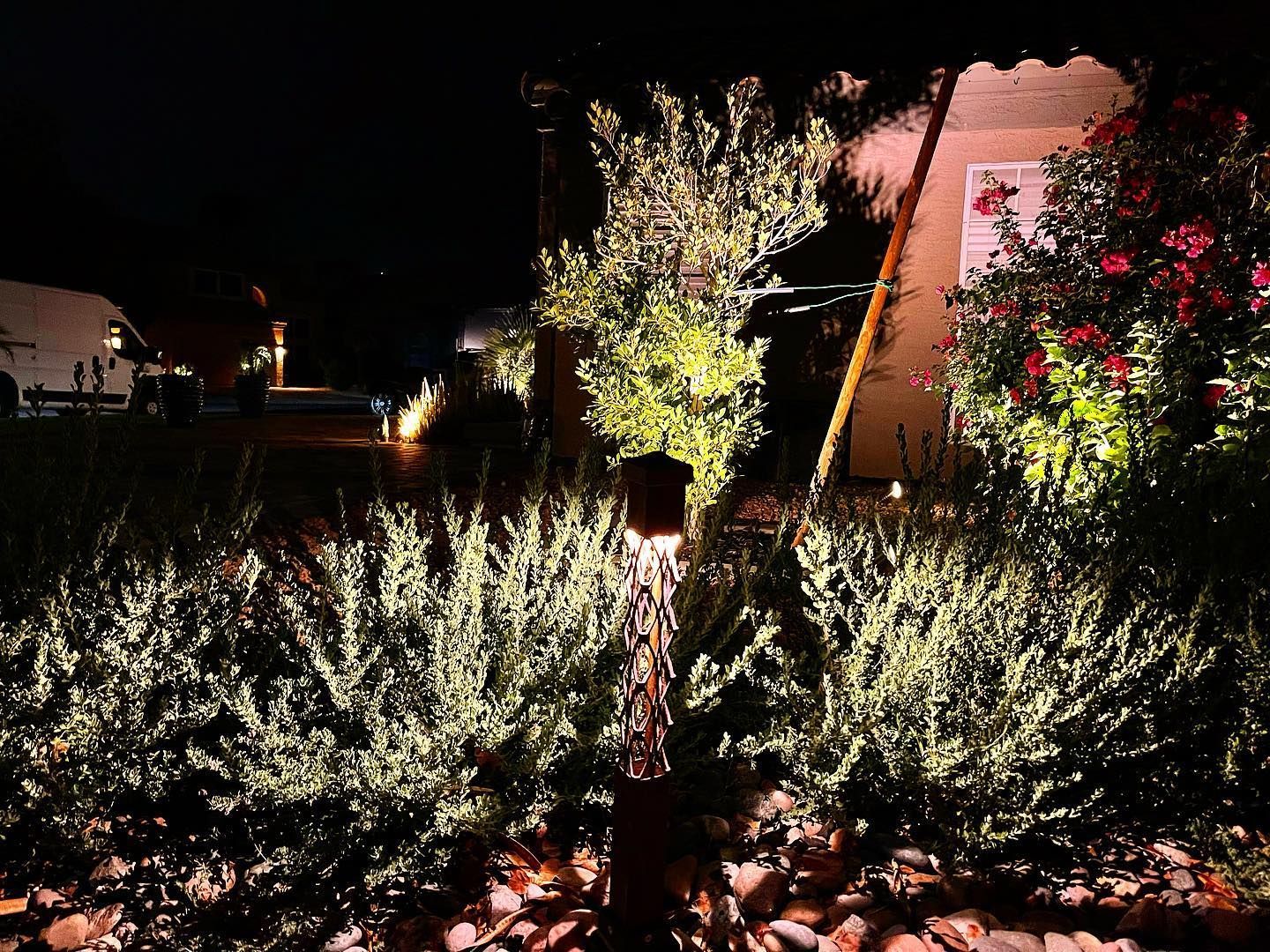 Night garden with dense shrubs, illuminated trees, and a lit brick building in the background.