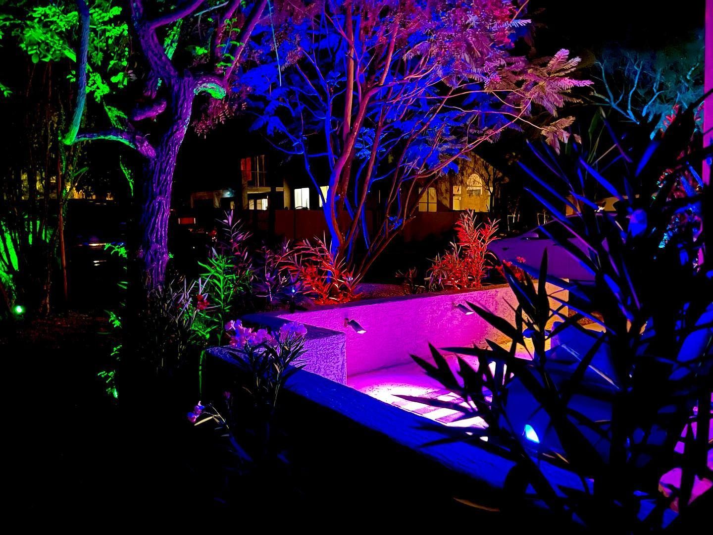Colorful garden at night lit with neon purple, blue, and green lights among trees and plants