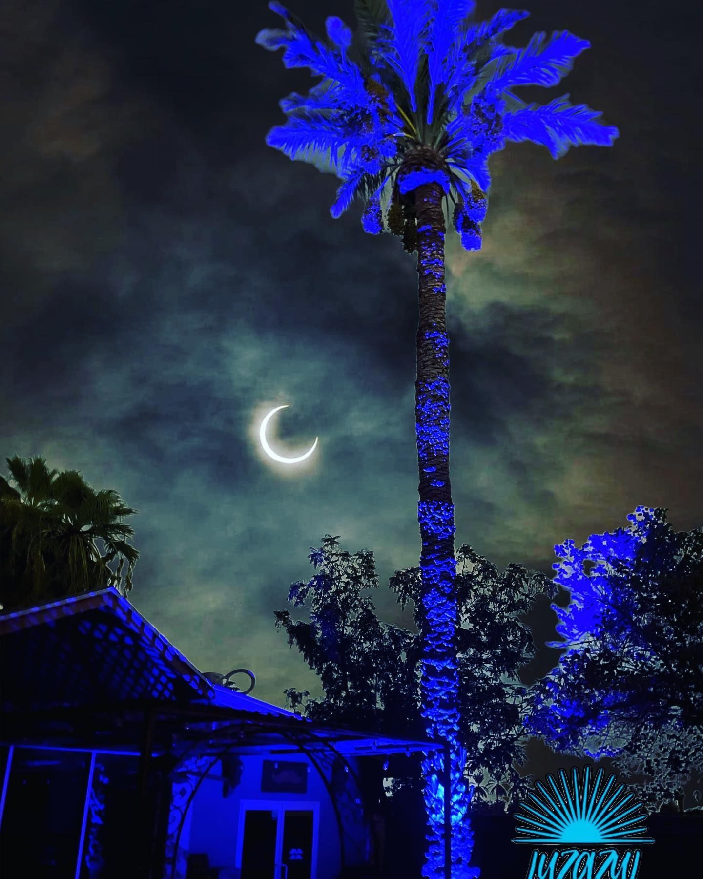 Night scene with a crescent moon, blue-lit palm tree, and dark house under cloudy sky.