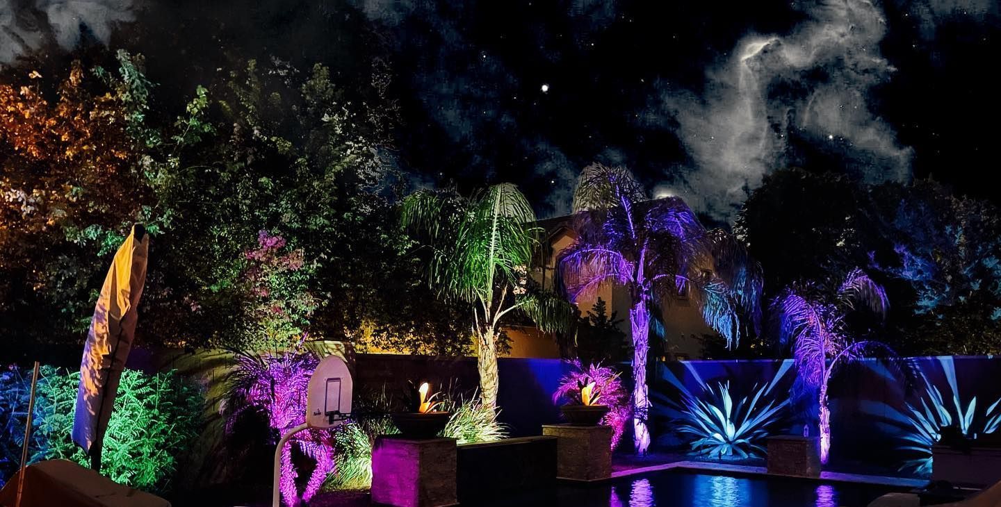 Colorful illuminated garden with palm trees and blue, purple, and green lights at night